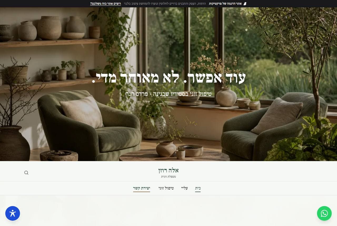 אתר הדוגמה של אלה רוזן